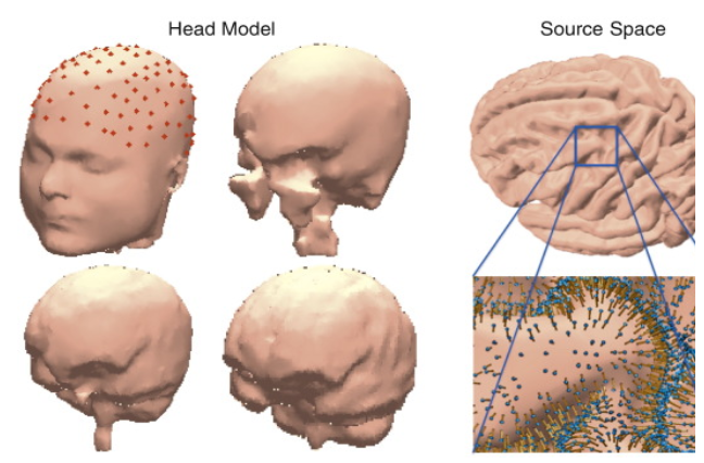 An image illustrating the components of the human head that are taken into account for head modeling purposes.